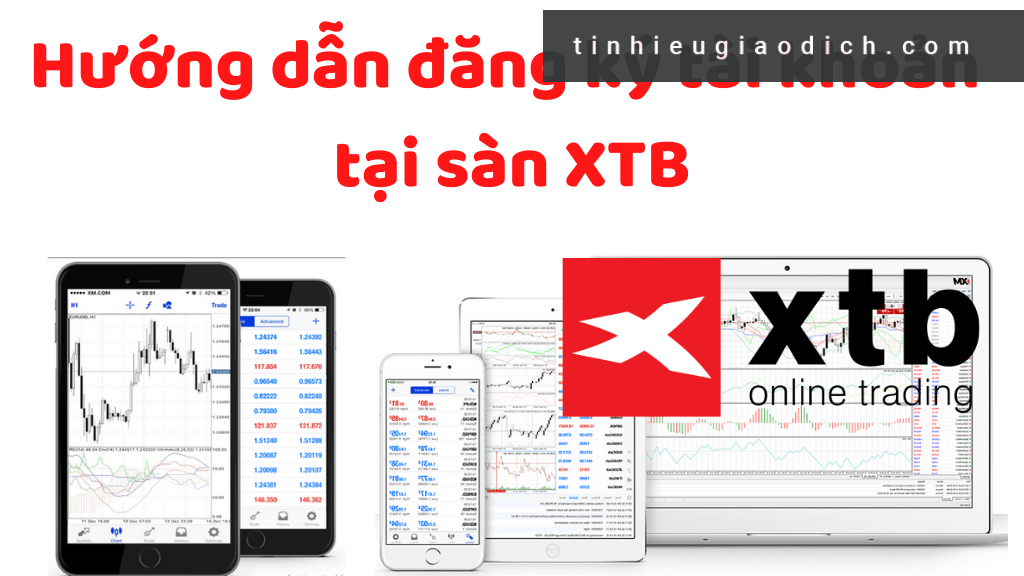 Chọn sàn Forex uy tín như XTB để mở tài khoản giao dịch