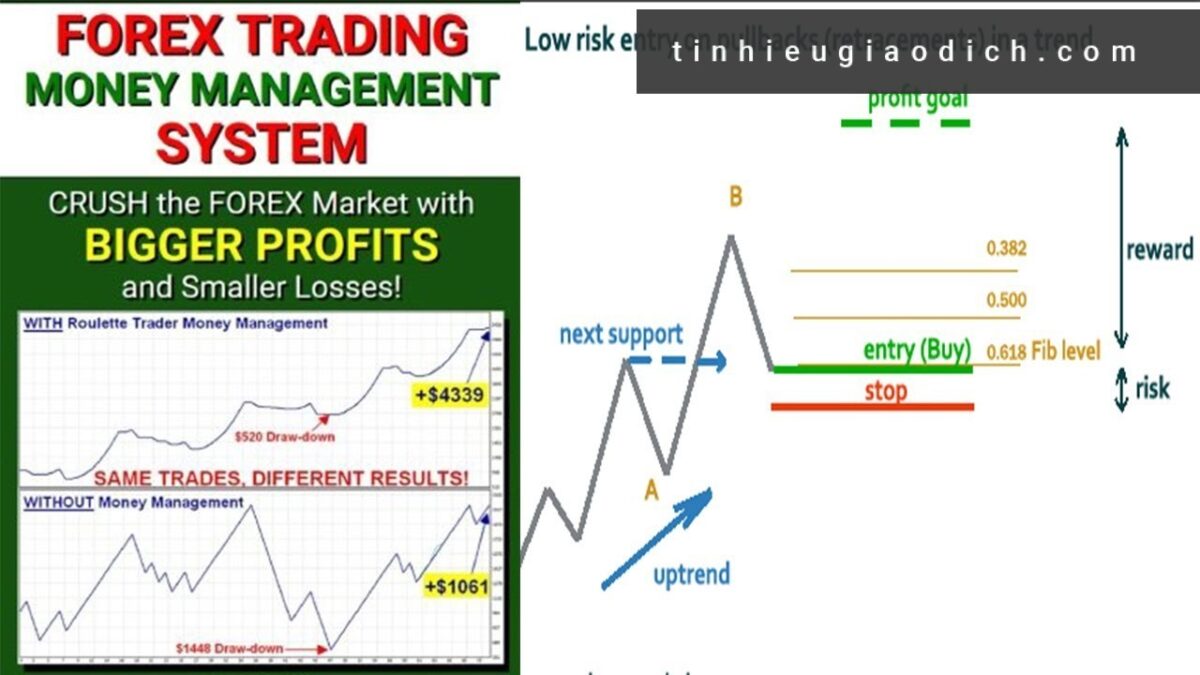 Sách tâm lý giao dịch hay “Forex Trading Money Management System” của Don Guy