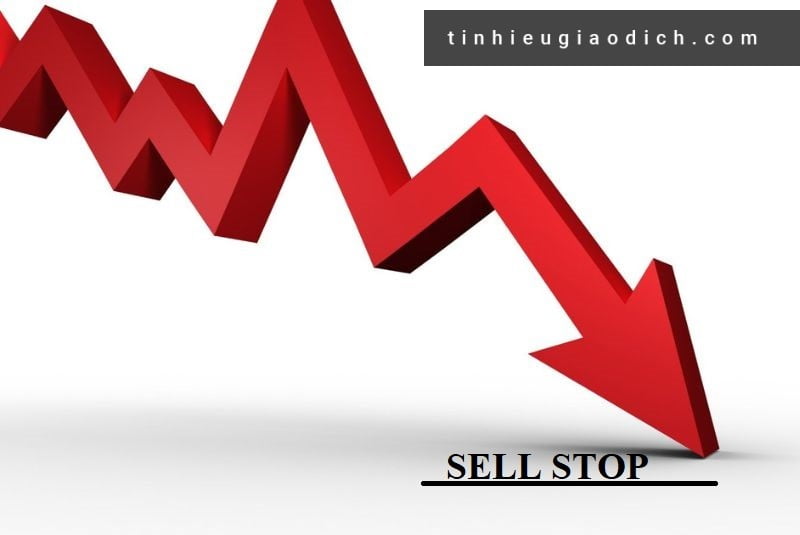 Lệnh Sell Stop sẽ giúp nhà đầu tư mua được sản phẩm với mức giá tốt nhất, tăng tỷ lệ lợi nhuận khi bán ra